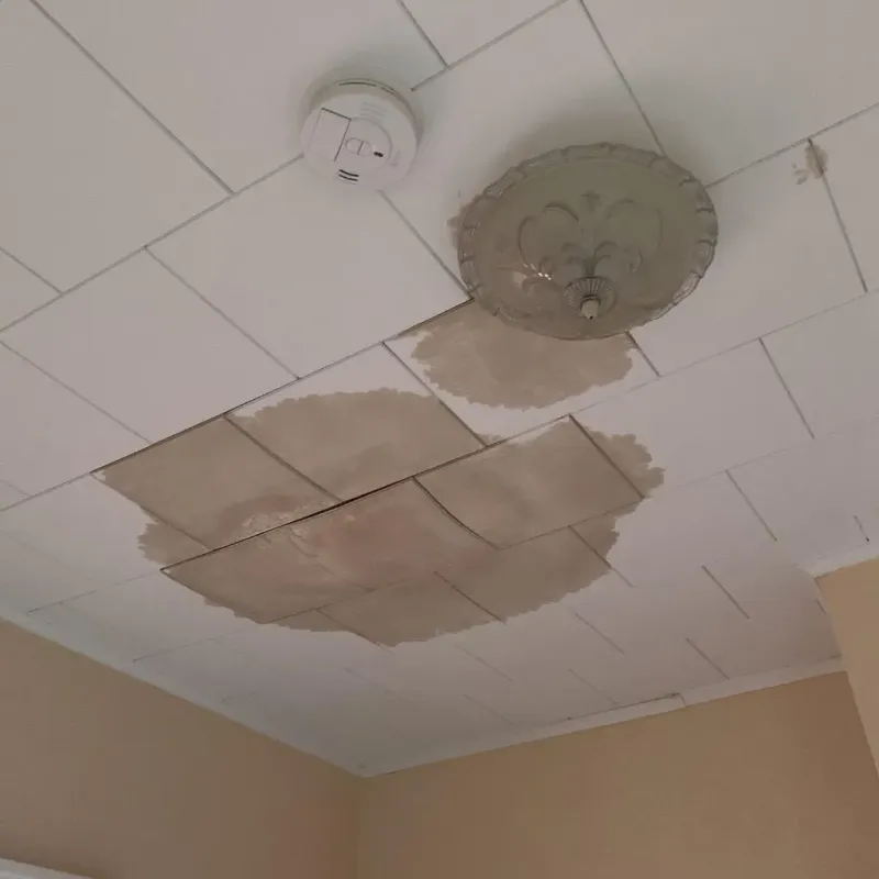 Ceiling Water Damage Repair in Lodi, WI