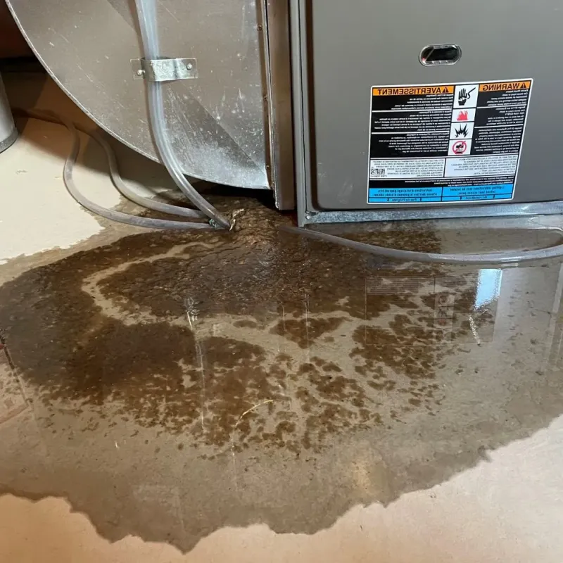 Pipe Burst and Leak Restoration in Lodi, WI