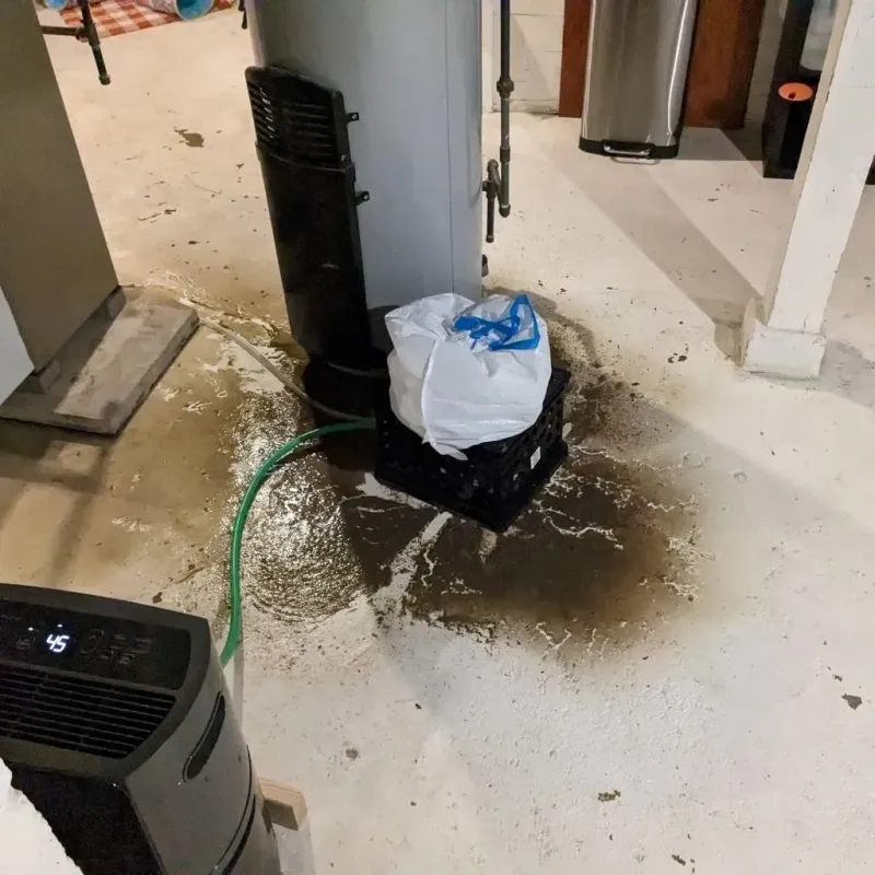 Sewage Backup Cleanup Service in Lodi, WI
